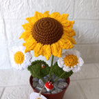 Maceta Decorativa Girasol y Margaritas Tejida a Crochet