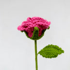Box Flores Crochet: 3 Rosas + Snoopy Novia