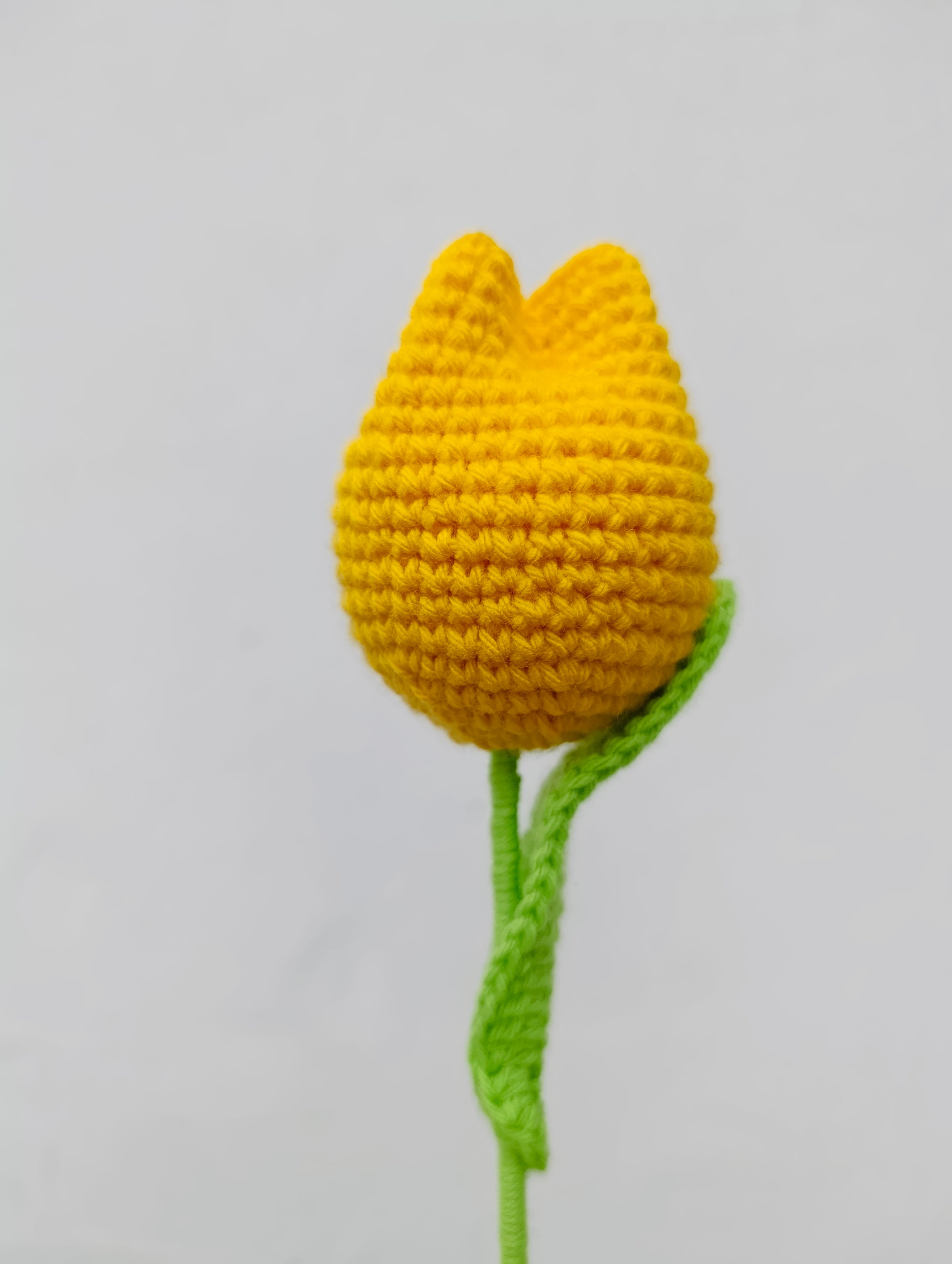 Ramo Atemporal Corazón con Tulipanes y Margarita en Crochet