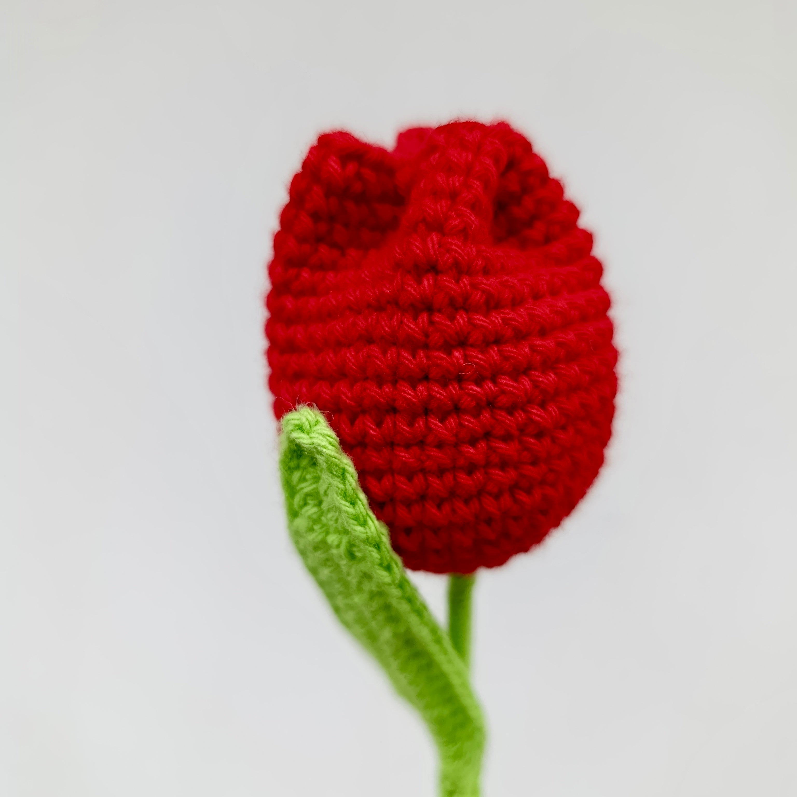 Caja Roja con Tulipán Fucsia y Abeja en Crochet