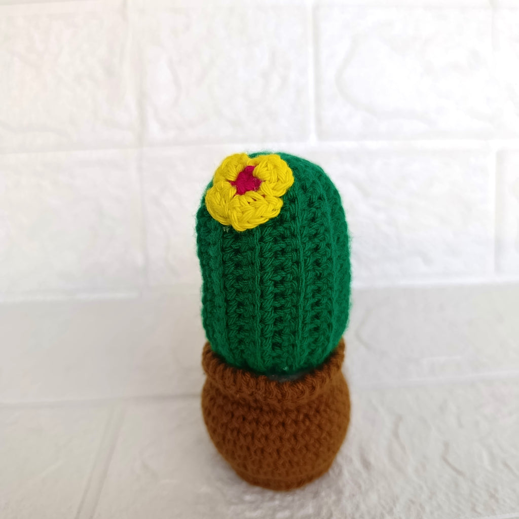 Maceta Pequeña de Cactus en Crochet