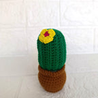 Maceta Pequeña de Cactus en Crochet