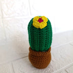 Maceta Pequeña de Cactus en Crochet