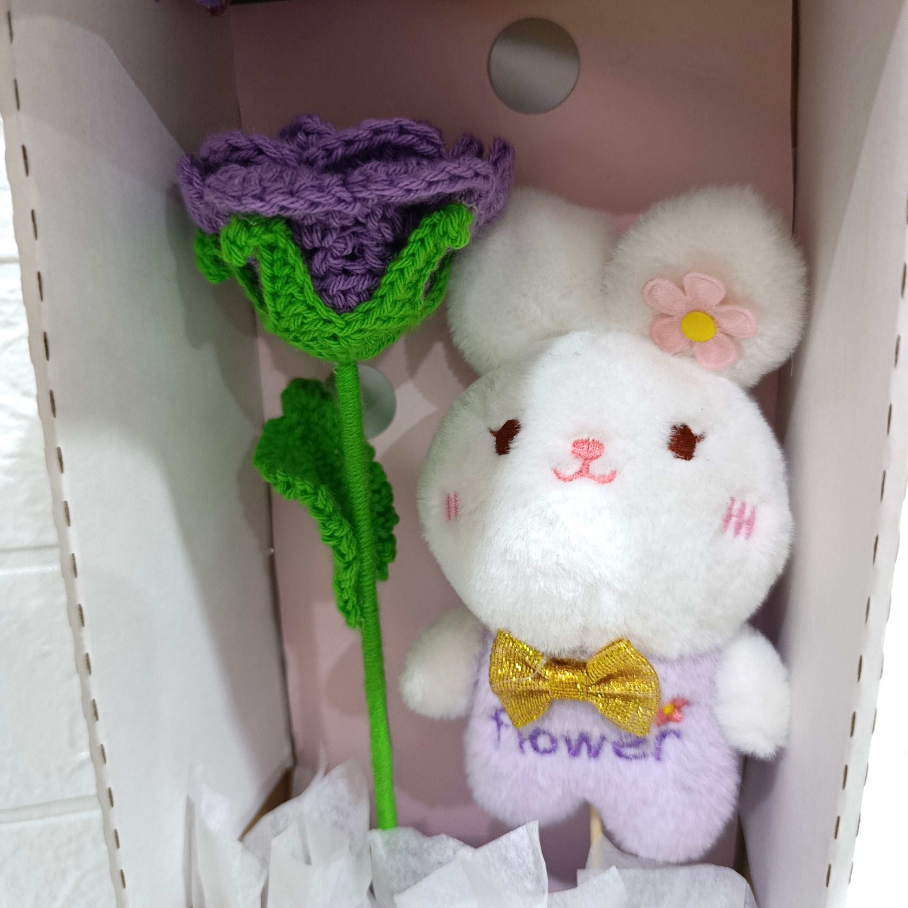 BOX Peluche conejo + rosa lila