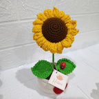 Maceta Tejida con Girasol y Corazón en Crochet