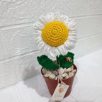 Maceta Margarita en Crochet