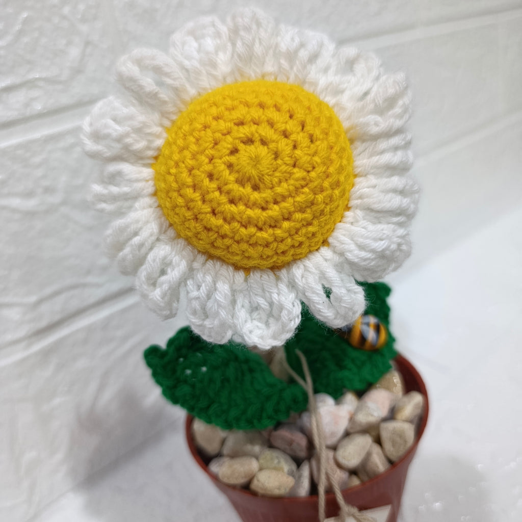 Maceta Margarita en Crochet