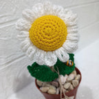 Maceta Margarita en Crochet