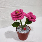 Maceta Decorativa con 2 Rosas Tejidas en Crochet