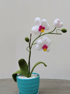 Maceta Cerámica con Orquídeas Tejidas