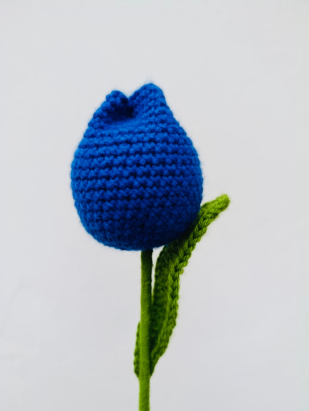 Ramo Snoopy con Tulipanes en Crochet