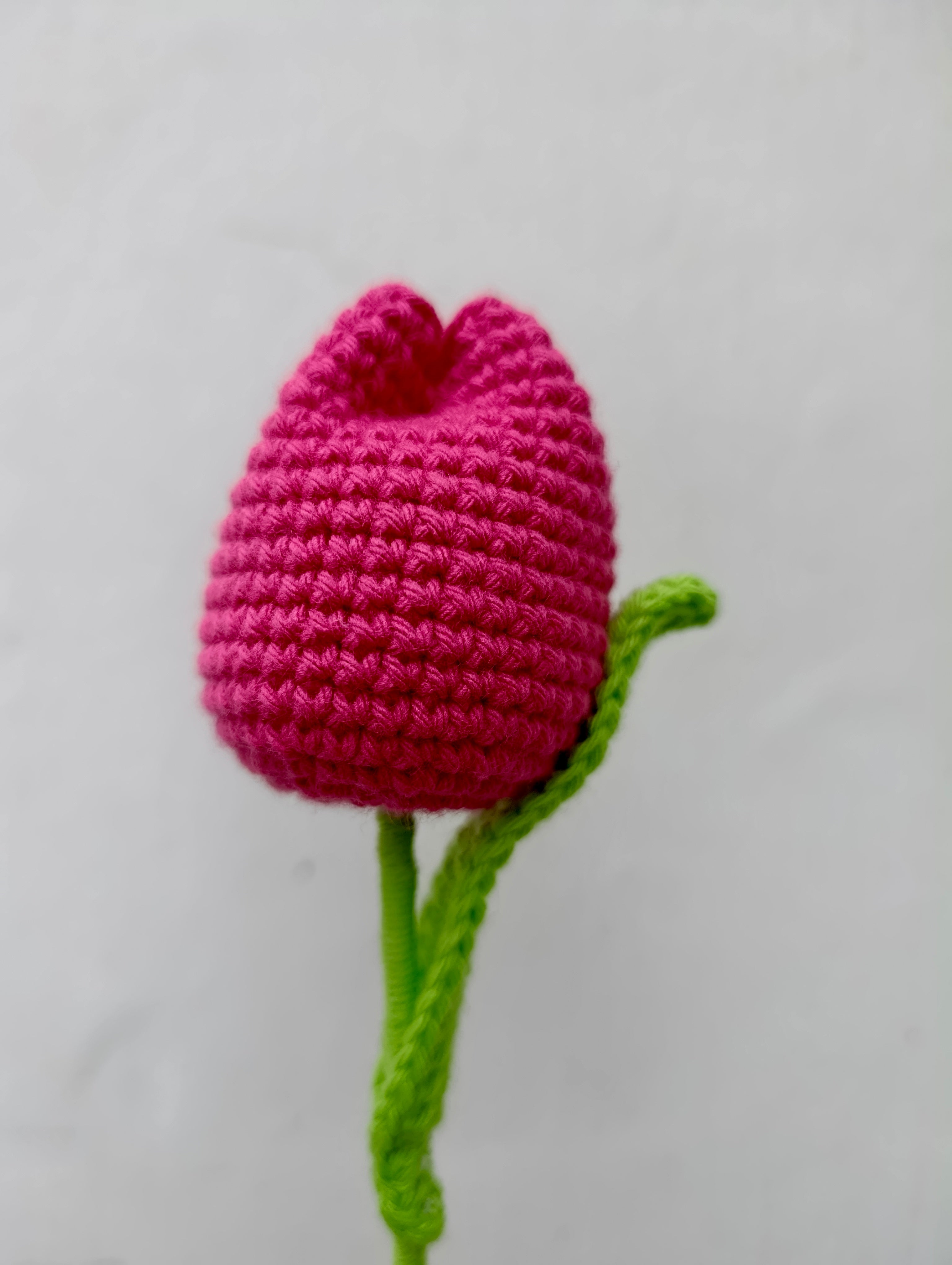 Ramo Snoopy con Tulipanes en Crochet