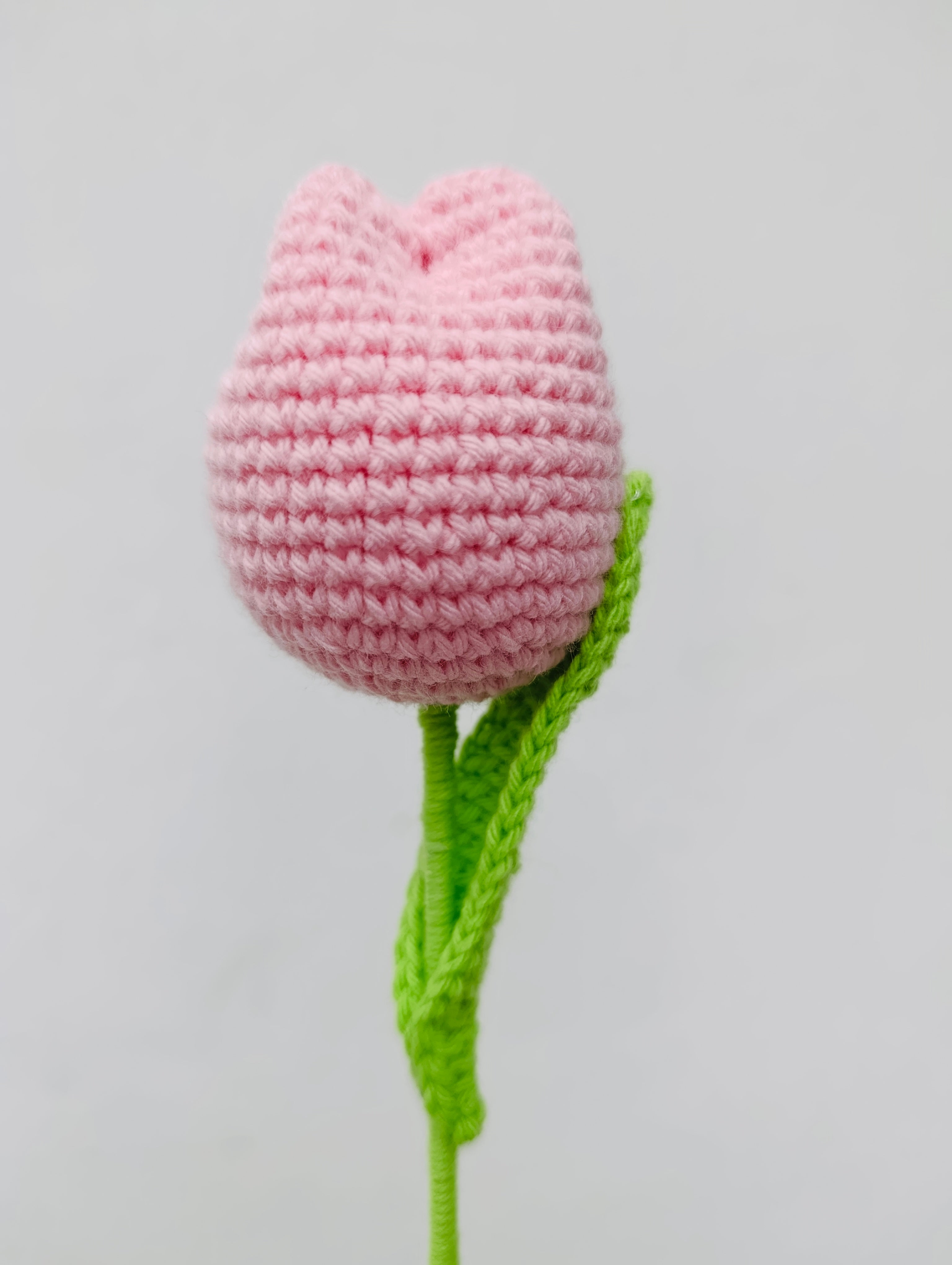 Ramo Snoopy con Tulipanes en Crochet