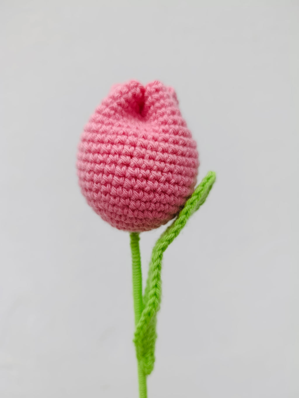 Ramo Snoopy con Tulipanes en Crochet