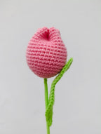 Ramo Snoopy con Tulipanes en Crochet